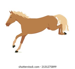 vector illustration of a running and jumping horse in beige color isolated on a white background