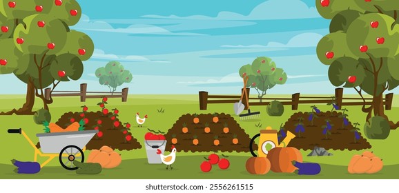 Vector illustration of a rural landscape working in the garden. Cartoon scene of a garden of tomatoes,eggplants,carrots,pumpkins,wheelbarrows, watering cans, buckets, shovels, rakes, chickens, trees.