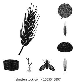 Vector illustration of rye and plant  logo. Set of rye and corn vector icon for stock.