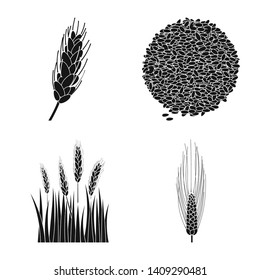 Vector illustration of rye and plant  logo. Set of rye and corn stock vector illustration.