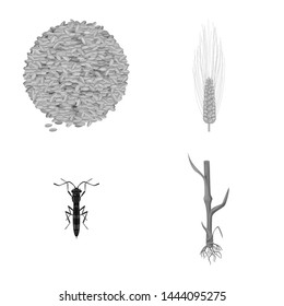 Vector illustration of rye and plant logo. Collection of rye and corn stock symbol for web.