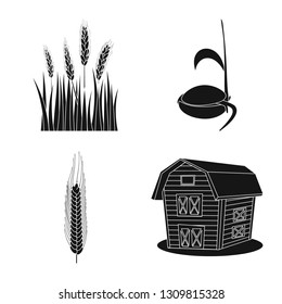 Vector illustration of rye and plant  sign. Set of rye and corn stock symbol for web.