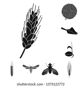 Vector illustration of rye and plant  sign. Set of rye and corn stock vector illustration.