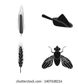 Vector illustration of rye and plant  sign. Set of rye and corn stock symbol for web.