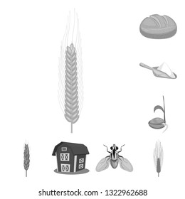Vector illustration of rye and plant  symbol. Collection of rye and corn stock vector illustration.
