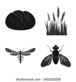 Vector illustration of rye and plant  symbol. Collection of rye and corn vector icon for stock.