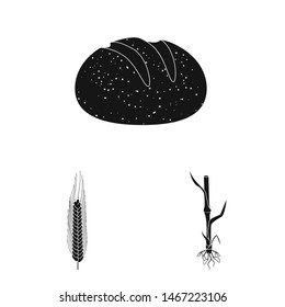 Vector illustration of rye plant symbol. Collection of rye and corn stock symbol for web.