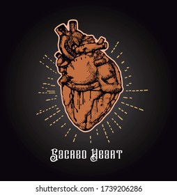 Vector illustration of sacred heart.