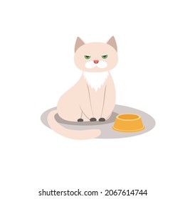vector illustration, a sad hungry cat sitting next to an empty bowl. cute pet on a white background.