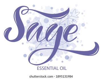 Vector illustration of Sage
Essential Oil text for logotype, packaging, banner, label, poster, decoration, postcard. Sage Essential Oil calligraphy background. EPS 10.