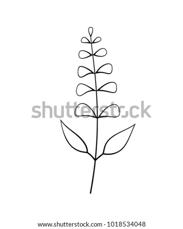 Vector illustration of sage with flower isolated on white background. 
