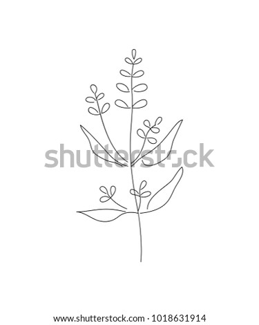 Vector illustration of sage with flower isolated on white background. Doodle wildflower.