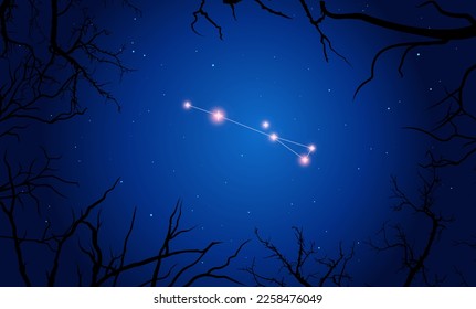 Vector illustration Sagitta constellation. Tree branches, dark blue starry sky