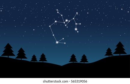 Vector illustration of Sagittarius constellation on the background of starry sky and night landscape