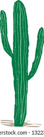 Vector illustration of a saguaro cactus