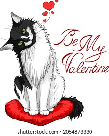 Vector illustration of Saint Valentine's Day theme Cat. Black and white cat sitting on the red heart pillow. Be my valentine lettering