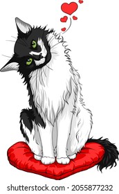 Vector illustration of Saint Valentine's Day theme Cat. Black and white cat sitting on the red heart pillow.