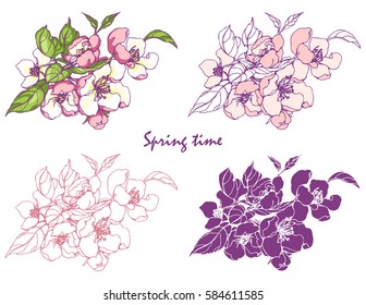 Vector illustration of sakura blossom.