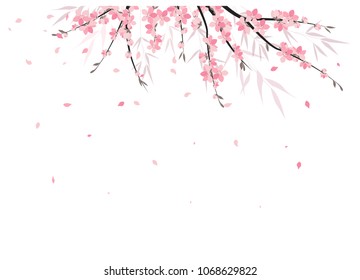 Vector illustration Sakura branch decoration. Floral background. Pink flowers