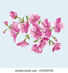 Vector illustration of a sakura branch for greeting cards and greetings