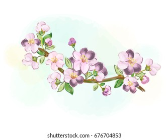 Vector illustration of a sakura branch for greeting cards and greetings