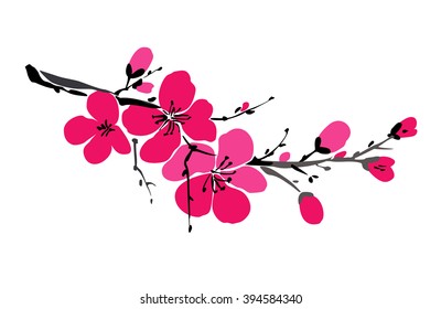 Vector illustration with sakura branch isolated on white background. Spring background. Japanese cherry blossom. Blooming apple flowers. Wedding card