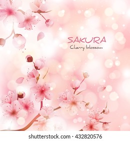 Vector illustration sakura cherry, branch with blooming flowers, Japan flowers