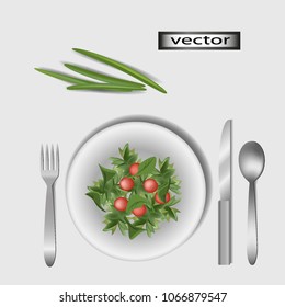 Vector illustration. Salad is served on a white tablecloth, isolated Cutlery, such as vegetarian salad with cherry tomatoes in a white plate. Culinary theme. Realistic image, splashes.  3D.