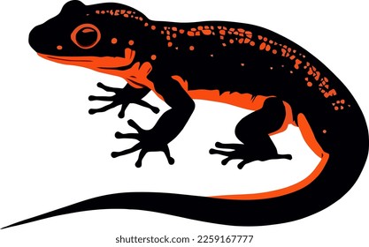 vector illustration of a salamander