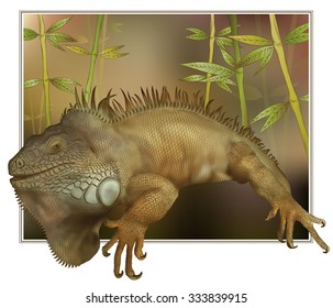 Vector illustration of salamander 
