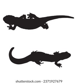 Vector Illustration of Salamander Silhouette