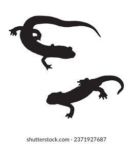 Vector Illustration of Salamander Silhouette