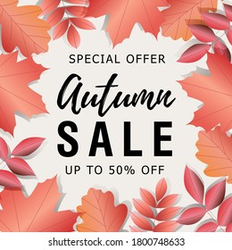 vector illustration sale Autumn leaves frame the text. Autumn design. Templates for posters, banners, leaflets, presentations, reports.