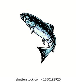 Vector illustration of salmon fish, and drawn line style with digital color