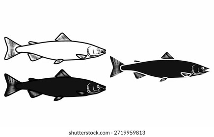 vector illustration of Salmon fish icon set in thin, line,outlune,silhouette.for seafood branding, fishing, biology, education, icons, logo,and nature designs.
