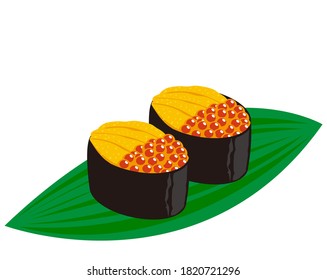 Vector illustration of salmon roe and sea urchin nigiri sushi. 