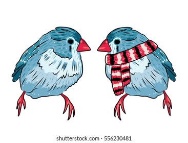 vector illustration of the same bird warm dressed and undressed. EPS