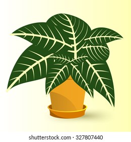 vector illustration of Sanchezia plant in a pot isolated on yellow background