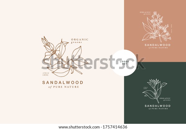 Vector illustration\
sandalwood branch - vintage engraved style. Logo composition in\
retro botanical style