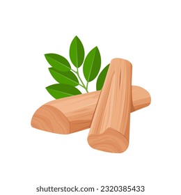 Vector illustration, sandalwood with green leaves, isolated on white background.