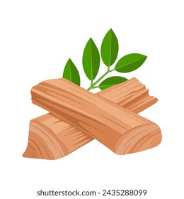 Vector illustration, sandalwood with green leaves, isolated on white background.