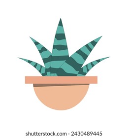 Vector illustration of a sansevieria plant in a flat style on a white background in a flower pot