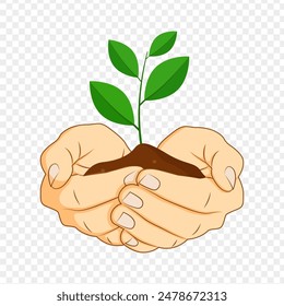 Vector illustration of sapling plant in hands on transparent background