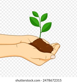 Vector illustration of sapling plant in hands on transparent background