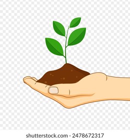 Vector illustration of sapling plant in hands on transparent background