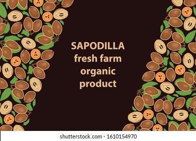 vector illustration of sapodilla and leaf design background brown text fresh farm organic product EPS10