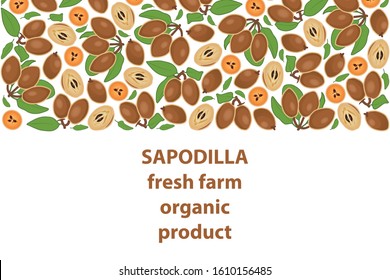 vector illustration of sapodilla and leaf design background white text fresh farm organic product EPS10