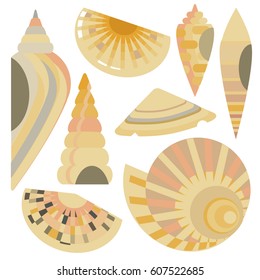 Vector illustration of Scallop seashell. Flat design style. Four beautiful seashells. Beautiful color transitions. Illustrations suitable for summer trips on the sea or for dishes made from sea food