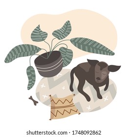 Vector illustration of Scandinavian living room interior with carpet and house plant in pot, dog laying on floor. Cozy modern apartment in nordic hygge style