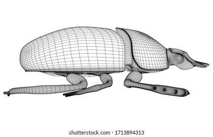 Vector illustration of a scarab. Abstract linear insect.